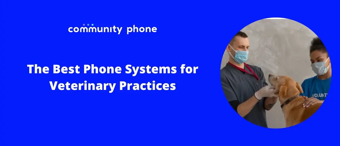 The Best Phone Systems for Veterinary Practices