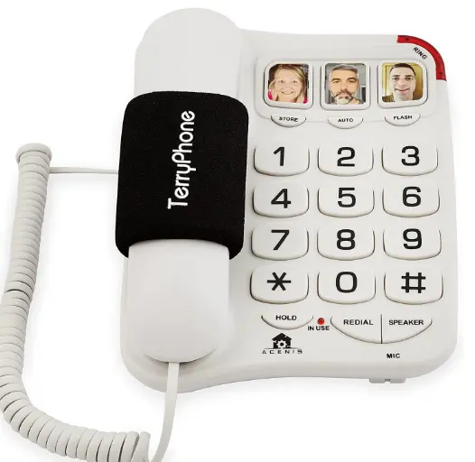 Image of TerryPhone Big button phone